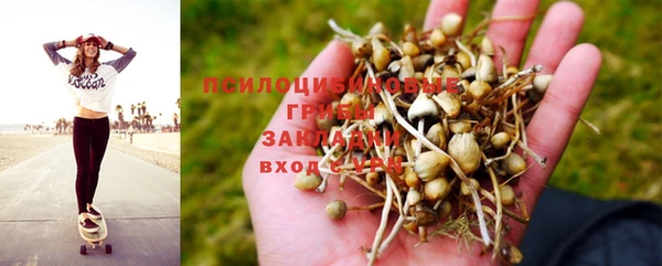 наркотики Заводоуковск