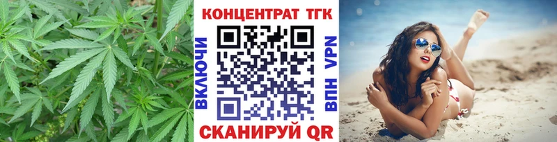 ТГК THC oil KRAKEN ссылка Сольвычегодск сколько стоит