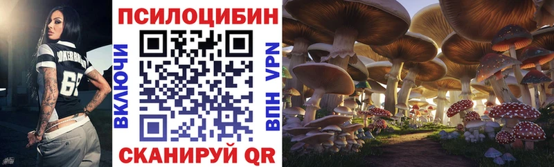 Галлюциногенные грибы GOLDEN TEACHER Сольвычегодск